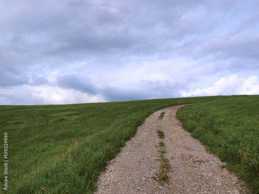 Obraz premium 草原の道