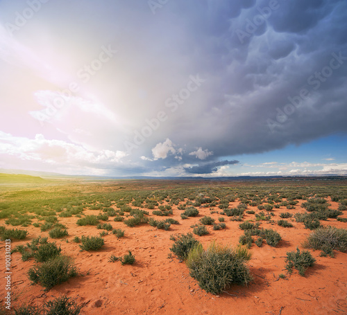 Принти на полотні Arizona Desert Storm Aproaching