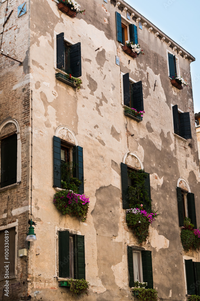 Old Facade in Venice with green vegetation and flowers under som Old Facade in Venice with green vegetation and flowers under som