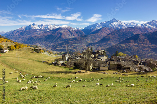 Allevamento di pecore in montagna photo