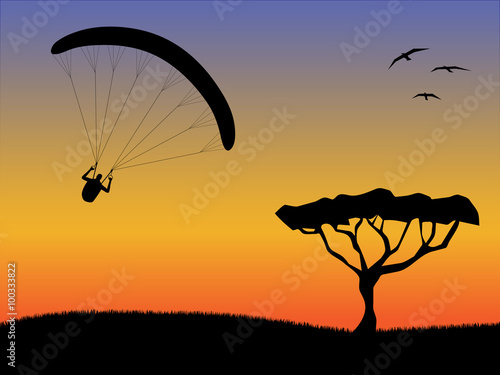 Silhouettes of paragliding with tree