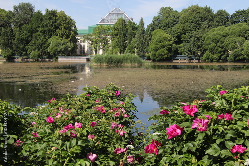 Park in Sankt Petersburg, Russland