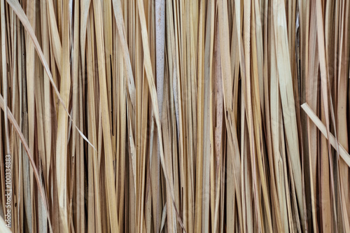 Fototapeta Naklejka Na Ścianę i Meble -  Nipa Palm thatching Background