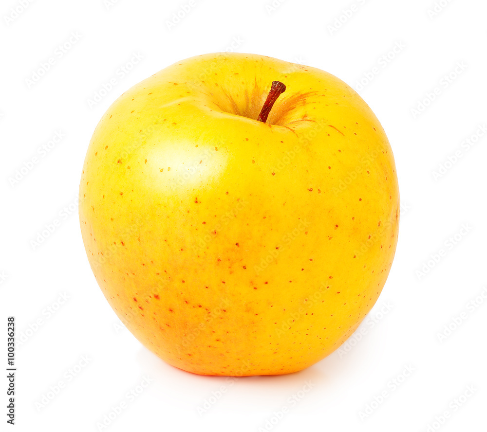 One yellow apple on a white background