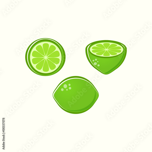 Vector lime illustrations
