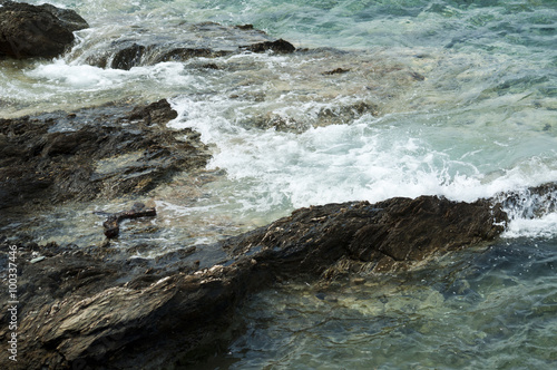 Shore reef  in the sea