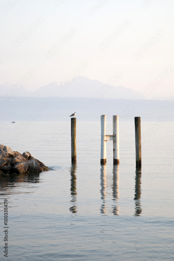 Bird on Pier on Lake Geneva, Lausanne, Switzerland