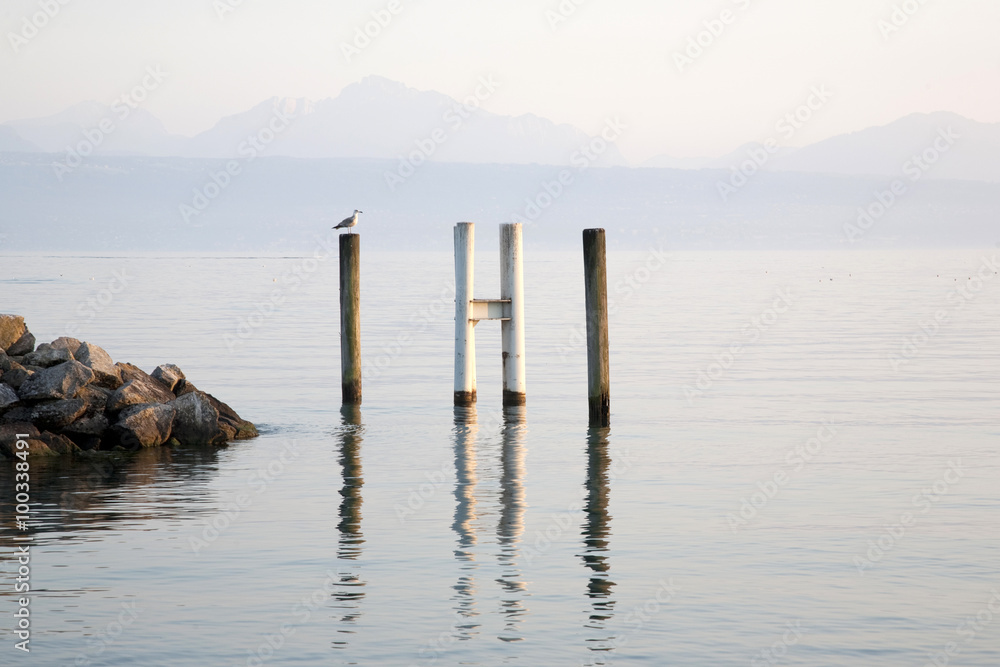 Bird on Pier on Lake Geneva; Lausanne; Switzerland