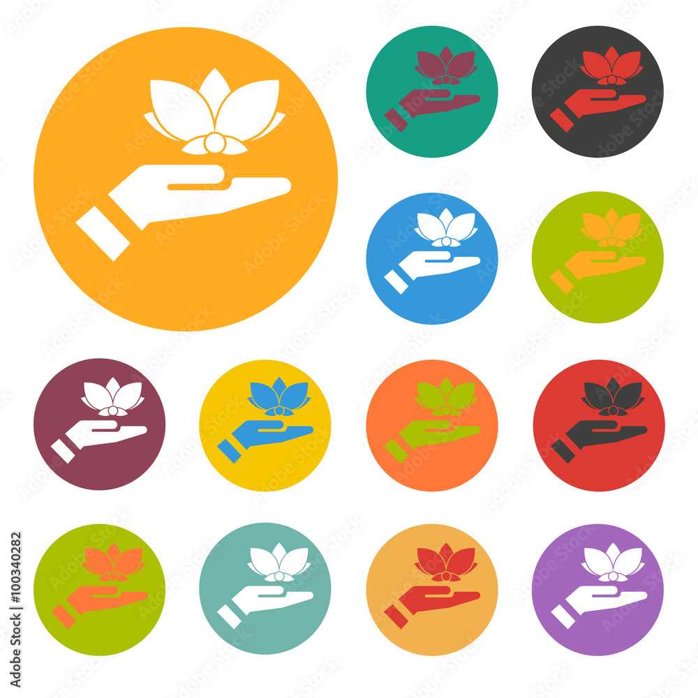 lotus icon lotus icon