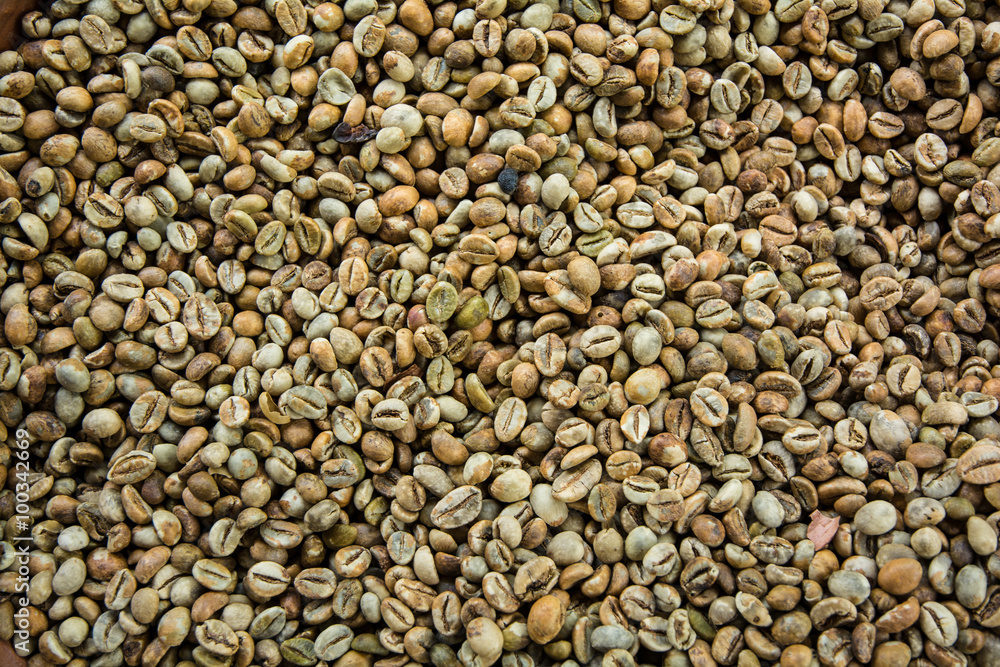 Fototapeta premium Luwak Coffee Beans - Bali, Indonesia