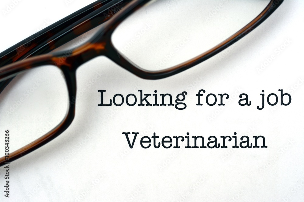 Looking for a job Veterinarian Looking for a job Veterinarian