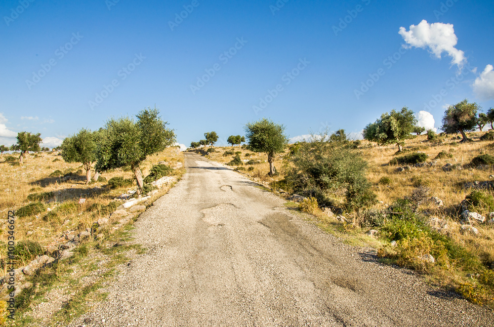 bumpy road in Puglia countryside -  Gargano