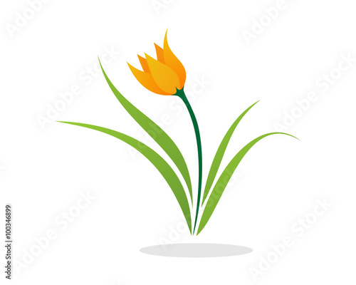 Fototapeta Naklejka Na Ścianę i Meble -  Lily Flower