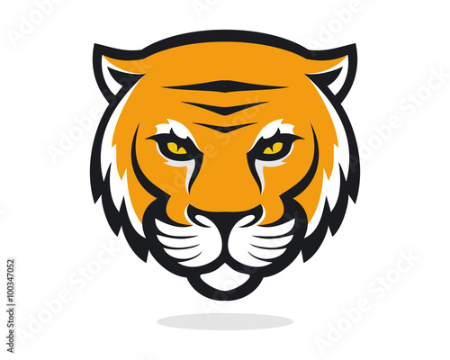 Fototapeta Naklejka Na Ścianę i Meble -  Tiger Eye