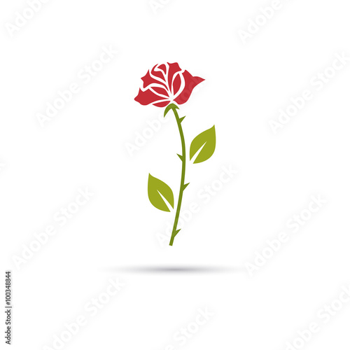 Color illustration of red rose