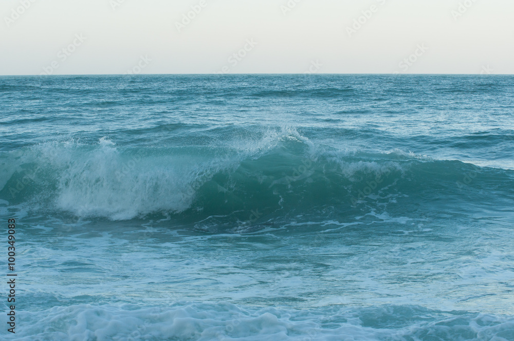 Fototapeta premium tubo