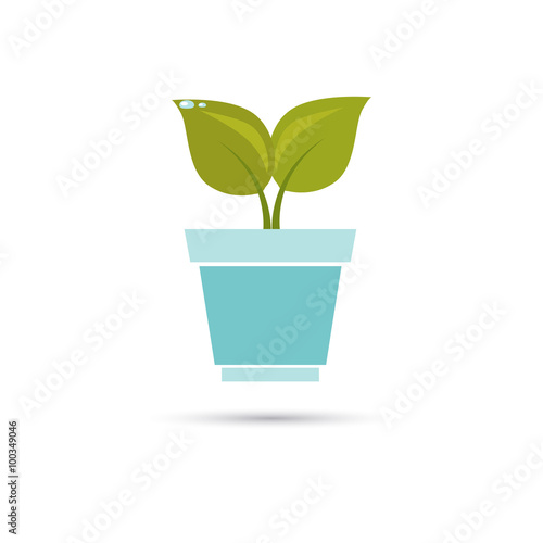 Color illustration of plant in a pot