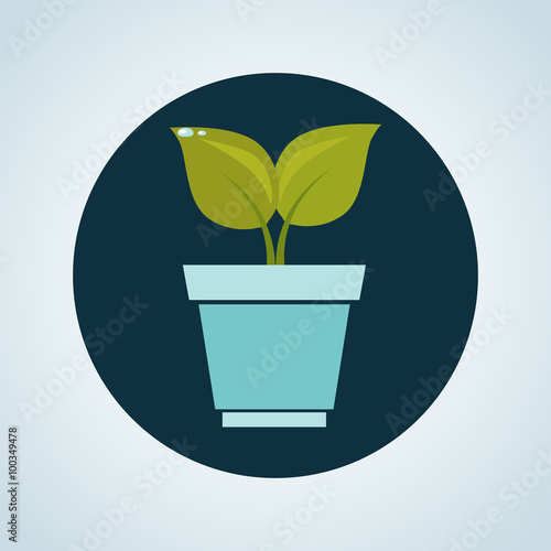 Color illustration of plant in a pot