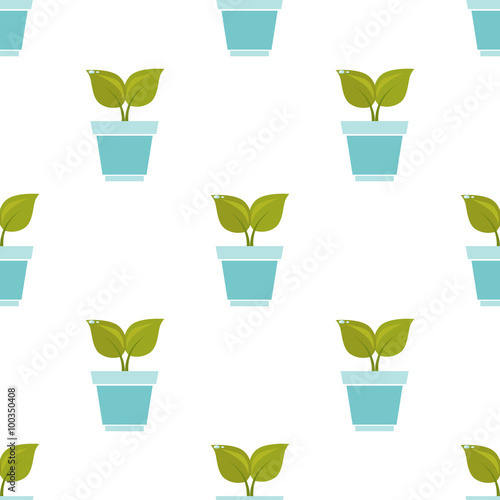 Color illustration of plant in a pot