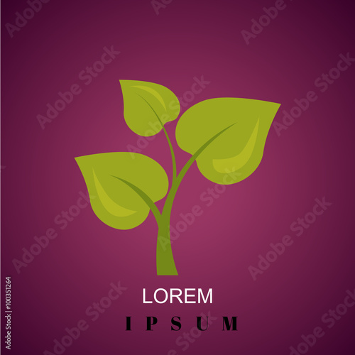 Color illustration of plant