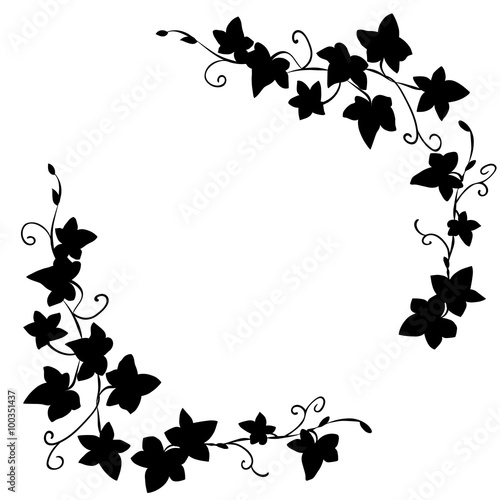 Obraz na plátně Black doodle ivy leaves pattern