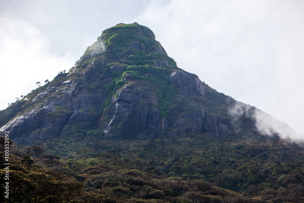 Adam's Peak Mountain