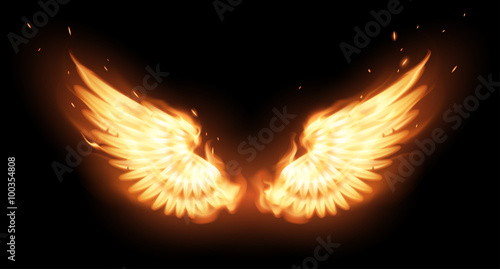 Fotografia Wings in flame