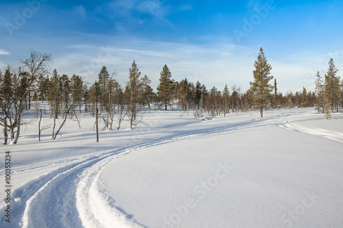 Snow Covered Road In Forest