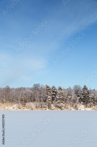 Wallpaper Mural View of snowy trees in a forest, snowy lake and blue sky in Finland at a sunny day in the winter. Copy space. Torontodigital.ca