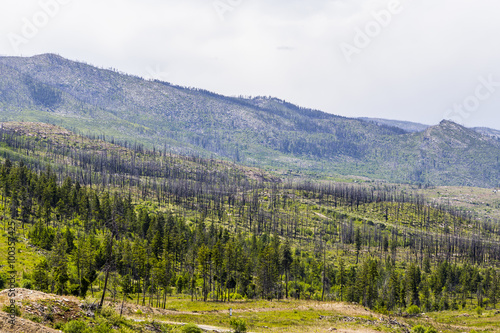 Overlooking the Scenic Okanagan Valley