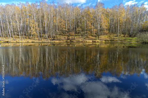 Reflection of trees and clouds in a pond