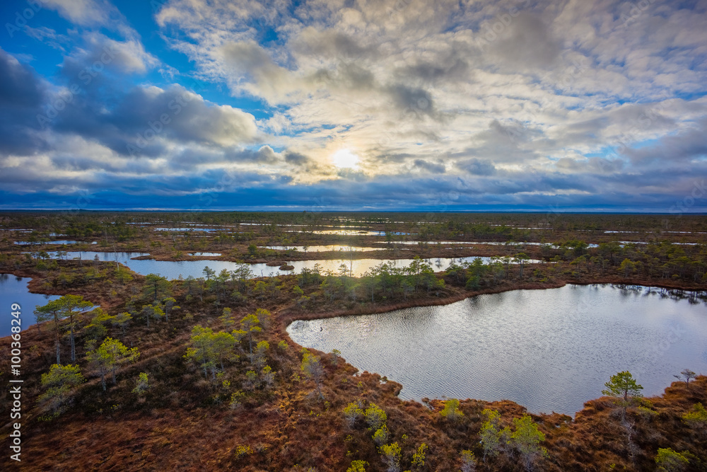 Kemeri swamp landscape