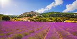 Simiane la Rotonde village and lavender panorama. Provence, Fran