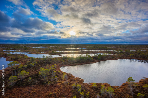 Kemeri swamp landscape © Anton Gvozdikov