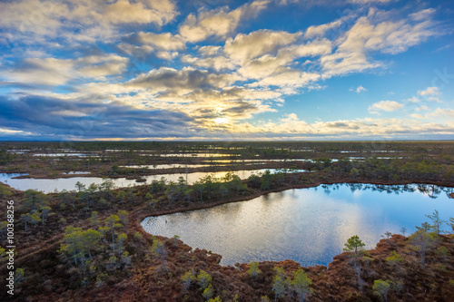 Kemeri swamp landscape