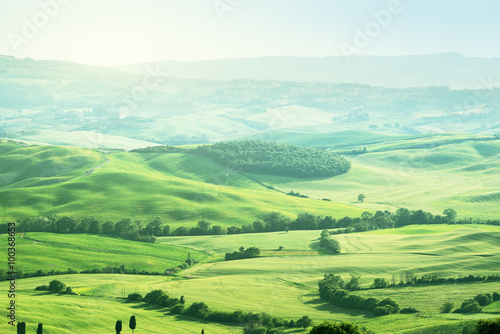 landscape in Tuscany  Italy