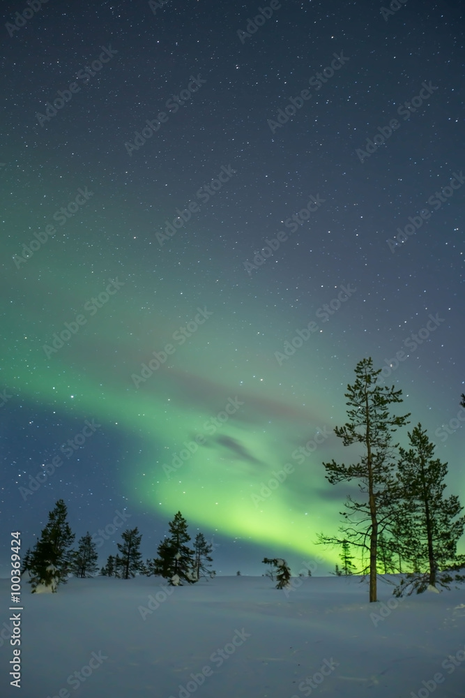 Fototapeta premium Aurora Borealis