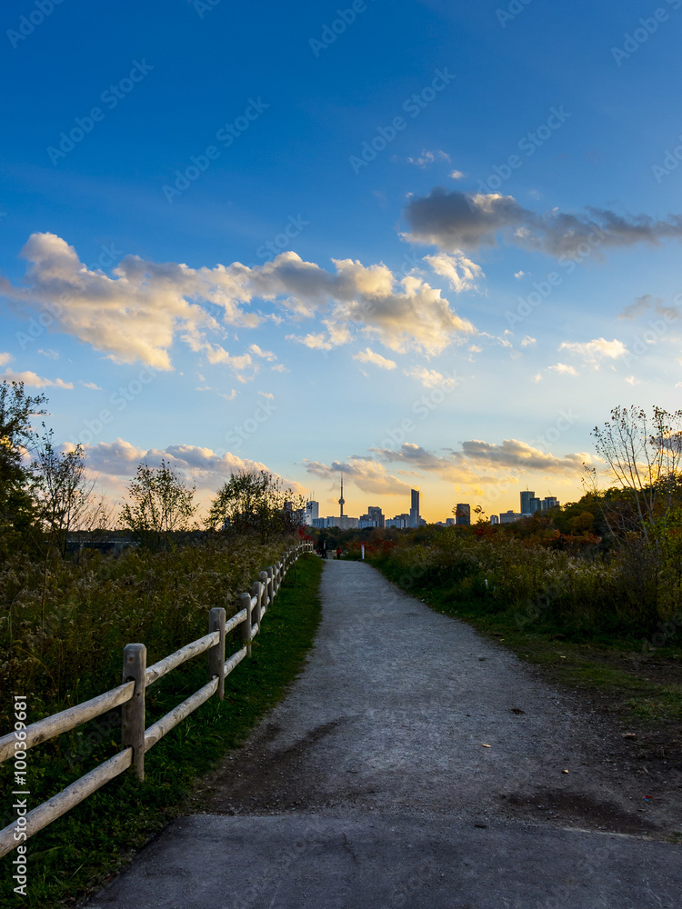 Scenic Trail in Autumn with Toronto Skyline