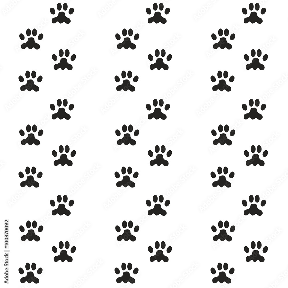 cat trail cat trail