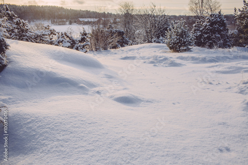 frosty winter landscape in snowy forest