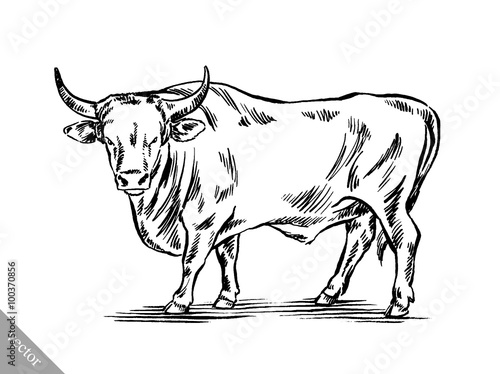 black and white engrave isolated cow