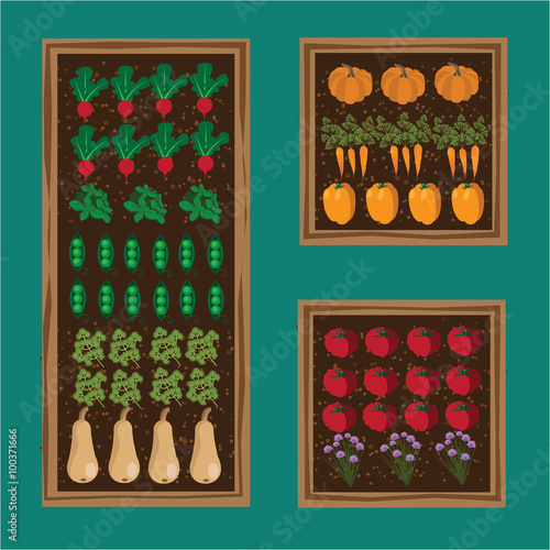 Kitchen vegetable garden planner flat design. EPS 10 vector stock illustration