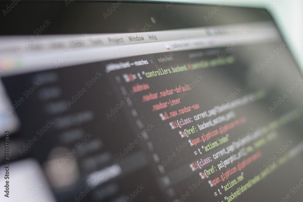 web script web script