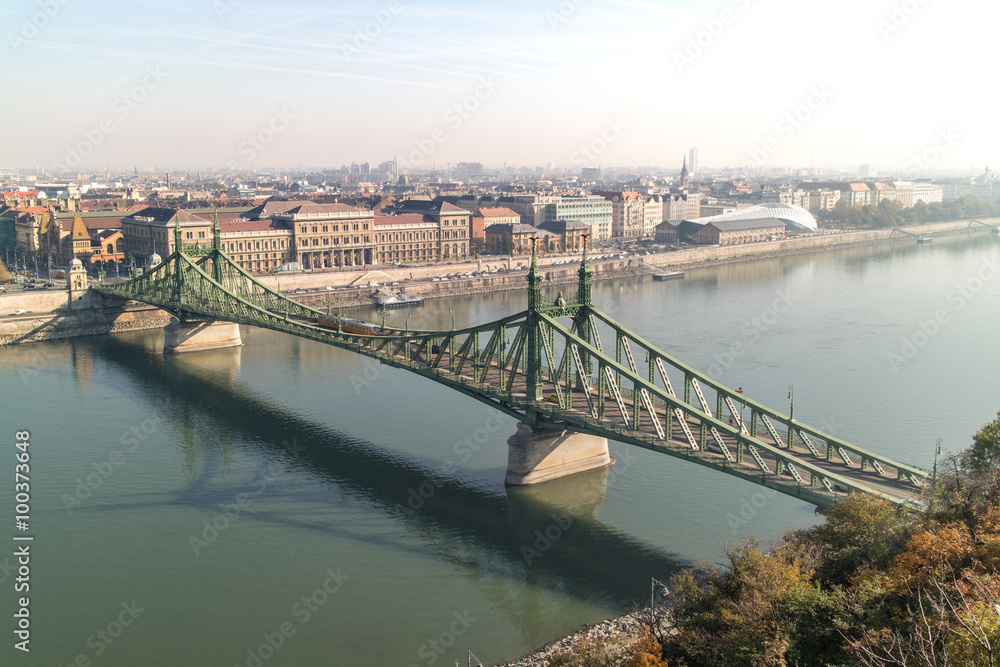 Liberty Bridge Budapest. Side view.