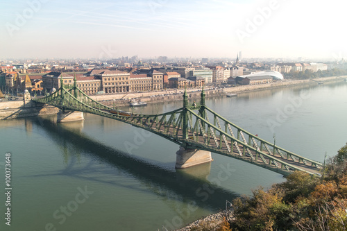 Liberty Bridge Budapest. Side view.