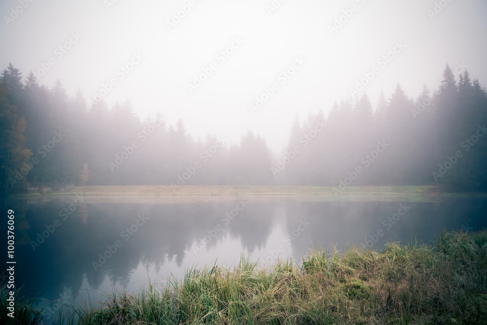 Forest lake in the morning mist Forest lake in the morning mist