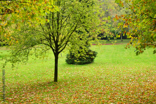 France, the picturesque Messonier park of Poissy photo