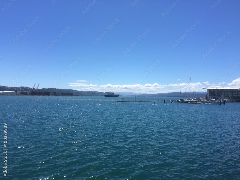 Paddle Boarding On Wellington Harbour