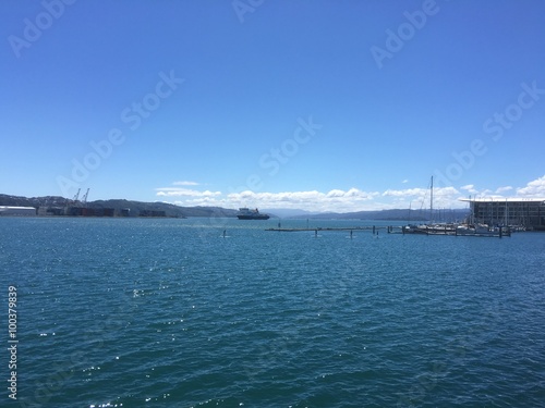 Paddle Boarding On Wellington Harbour