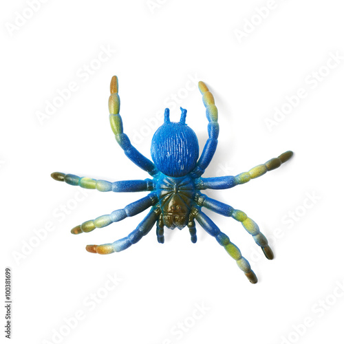 Fake rubber spider toy isolated